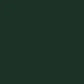 Moroso Glass color swatch, forest green RAL 6009, matte finish, uniform tone, solid color background, no texture visible.